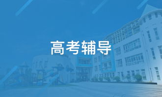 天津桃源教育咨詢（淘學培訓）探析 服務、特色與學員反饋